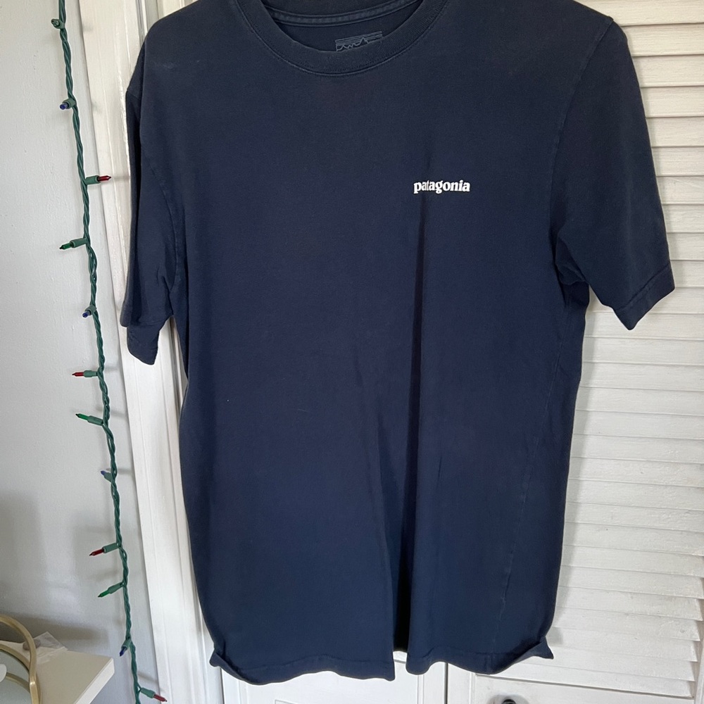 patagonia tee
